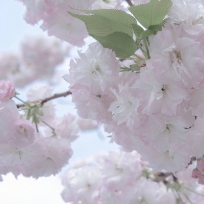 Furry绘画构图灵感兽圈社群